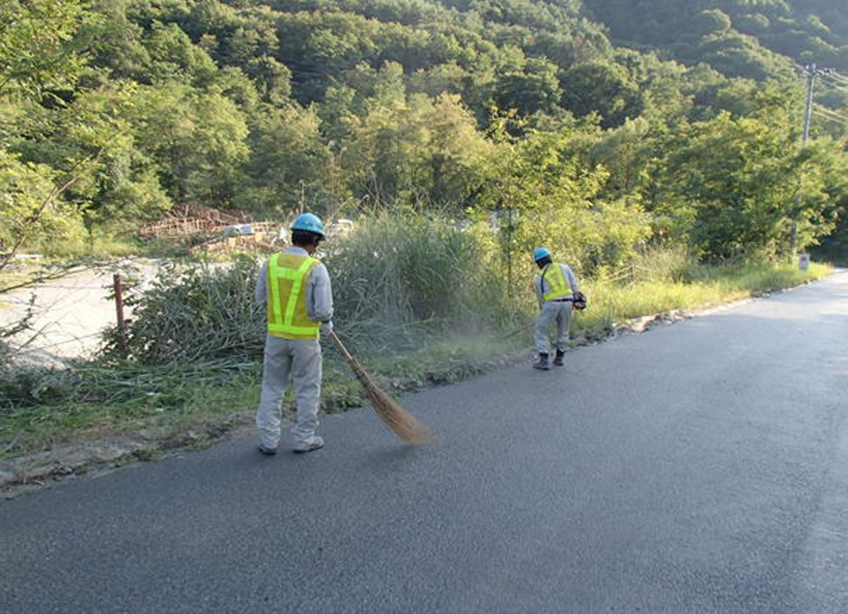 道路の清掃活動